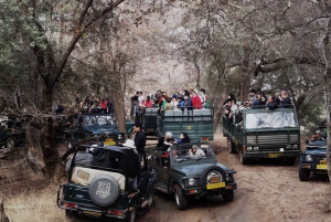 Ranthambore National Park: Jeep or Canter Safari Admission