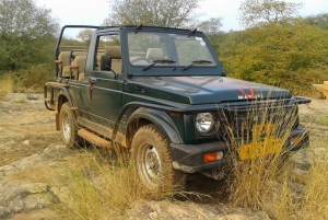 Ranthambore National Park: Jeep or Canter Safari Tour