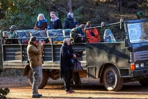 Parque Nacional de Ranthambore: Jeep ou Canter Safari