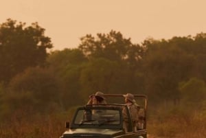 Ranthambhore: Ranthambhore Tiger Reserve Booking