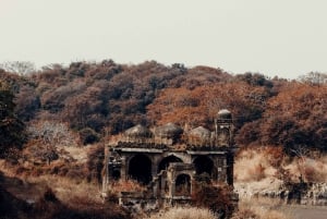 Ranthambore National Park: Safari Ticket with Pickup Option