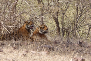 Ranthambore National Park