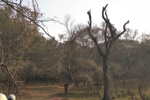 Ranthambore National Park