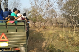 Ranthambore National Park