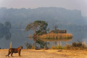 Ranthambore National Park
