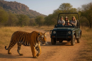 Ranthambore: åpen galoppsafari med guide
