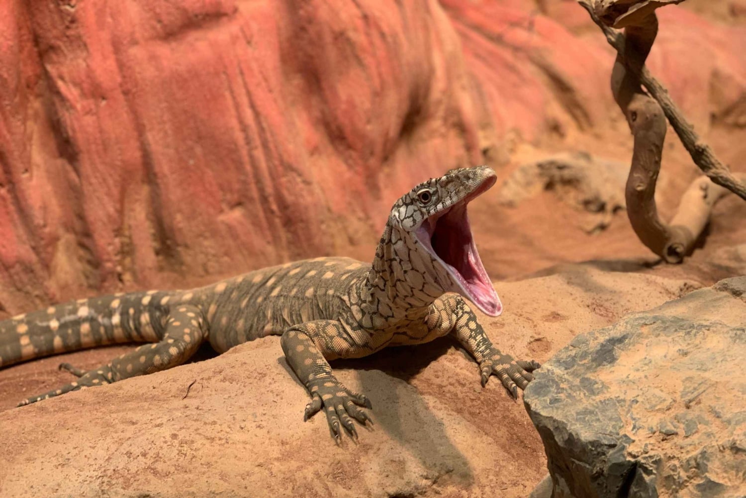 Ranthambore Premium Tatkal Gypsy Safari (gå forbi køen)