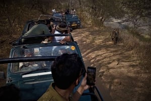 Ranthambore-safari med Canter (20 seter) 24 timer i forveien