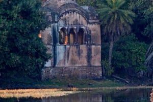 Ranthambore-safari med Canter (20-personers bus)
