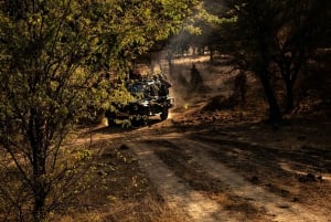 Ranthambore-safari med Canter (20-personers bus)