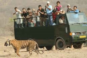 Ranthambore-safari med Canter (20-personers bus)