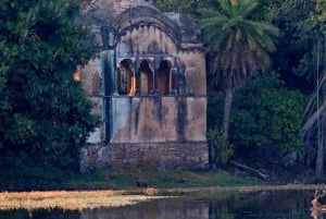 Ranthambore safari by Canter ( 20 seater bus)