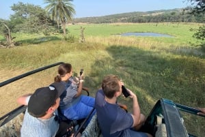 Ranthambore: Sharing Tiger Safari In Canter Or Gypsy Vehicle