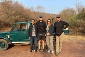 Ranthambore: Sharing Tiger Safari In Canter Or Gypsy Vehicle