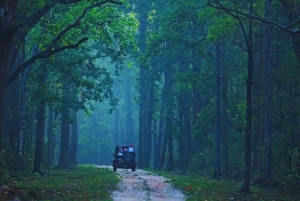 Ranthambore: Tiger-Safari ohne Anstehen im Sharing Canter