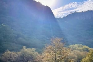 Ranthambore: Pomiń Safari Tygrysów w Sharing Canter