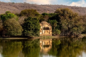 ランサボア虎保護区：ジープサファリ（公園入場料込み）をご利用ください