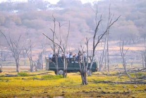 Ranthambore : Tiger Safari Tour in Canter