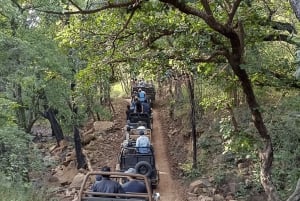 Ranthambore: Tijgersafari