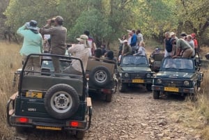 New Delhi: Jim Corbett National Park Safari (Tiger) Spotting