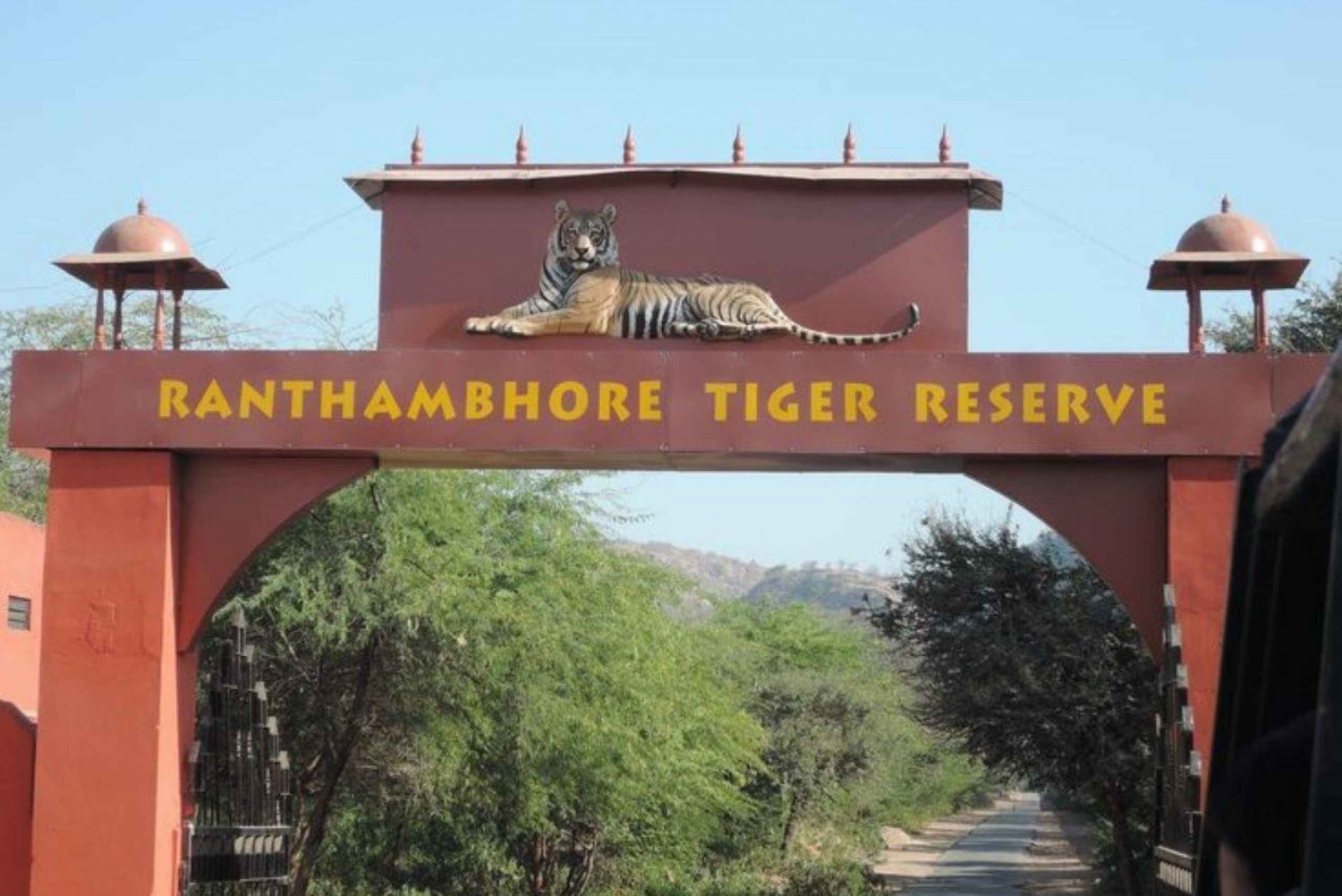 Ranthambore WildLife (tiger safari)Full Day Tour From Jaipur