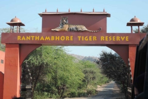 Ranthambore WildLife (tiger safari)Full Day Tour From Jaipur