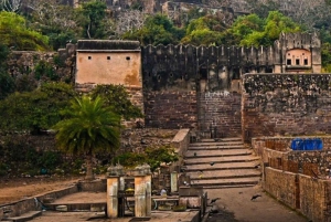 Ranthambore WildLife (tiger safari)Full Day Tour From Jaipur