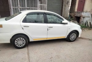 Ranthambore WildLife (tiger safari)Full Day Tour From Jaipur