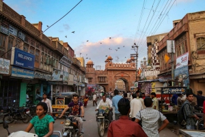 Bikaner royale : visite citadine guidée d'une demi-journée avec prise en charge à l'hôtel