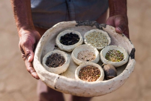 Udaipur: lezione di cucina in famiglia e thali reale del Rajasthan