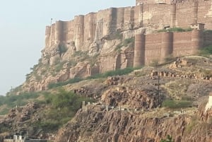 Royal Trails of Bikaner (Guided Day City Tour)