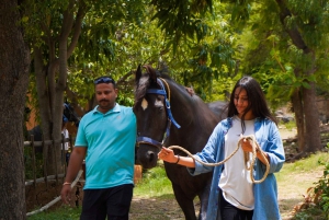 Ländliche Wanderung auf dem Marwari-Pferderücken auf einer privaten Ranch in 12Acres
