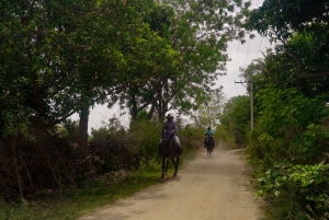 Rural Trail On Marwari Horseback At Private Ranch in 12Acres