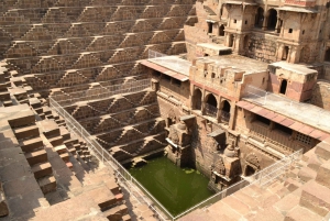 Excursión de un día a Abhaneri con el Templo de los Monos desde Jaipur