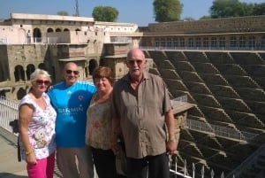 Excursión de un día a Abhaneri con el Templo de los Monos desde Jaipur