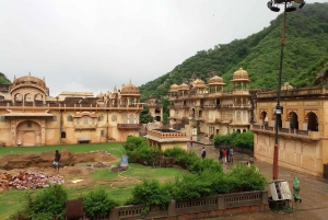 Excursión de un día a Abhaneri con el Templo de los Monos desde Jaipur