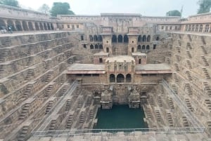 Excursión de un día a Abhaneri con el Templo de los Monos desde Jaipur