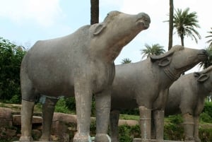 Tour von Udaipur nach Mount Abu am selben Tag