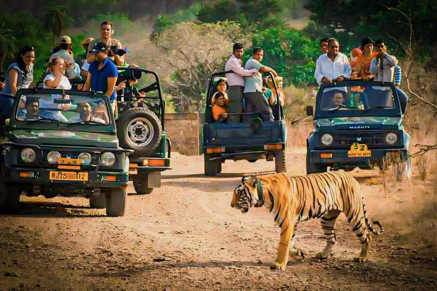 Sawai Madhopur: Ranthambore National Park Geführte Jeep Safari