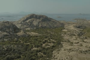 Jawai Leopard Safari 4x4 Gypsy Adventure with Guide