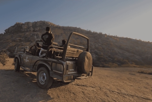 Jawai Leopard Safari 4x4 Gypsy Adventure with Guide