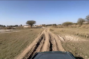 Jawai Leopard Safari 4x4 Gypsy Adventure with Guide