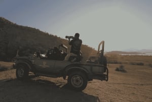 Jawai Leopard Safari 4x4 Gypsy Adventure with Guide