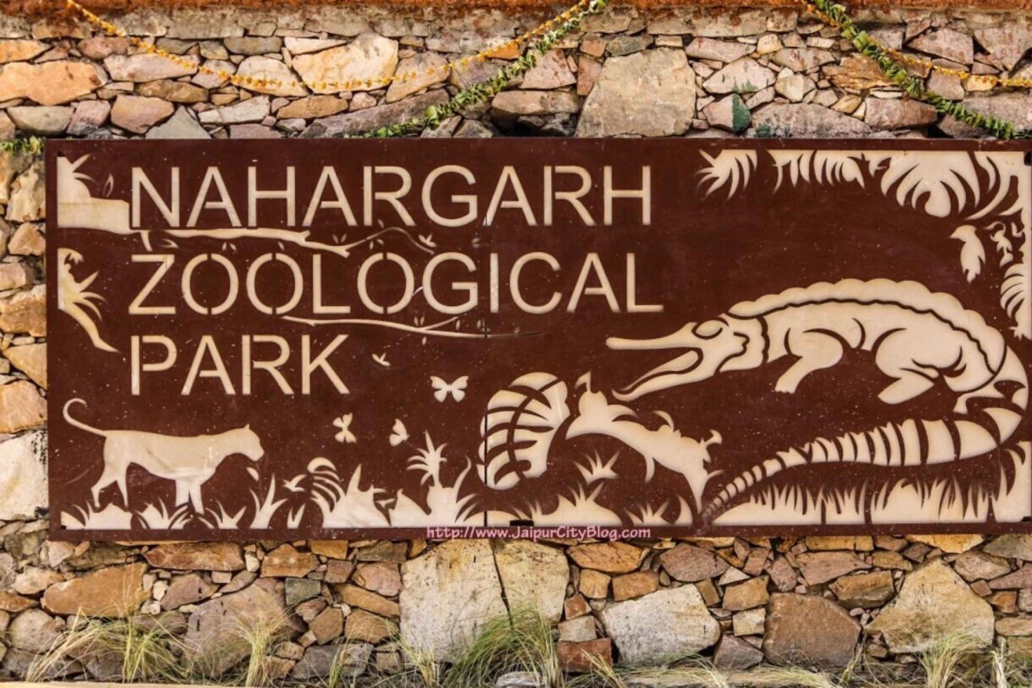 Saltafila: tour del parco biologico Nahargarh, Jaipur