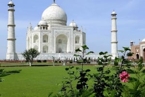 Agra: Skip køen-billetter til Taj Mahal og Agra Fort + tilvalg
