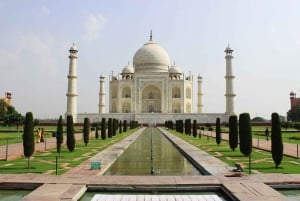 Agra: Skip køen-billetter til Taj Mahal og Agra Fort + tilvalg