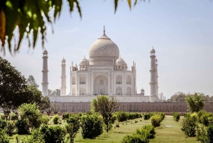 Agra: Skip køen-billetter til Taj Mahal og Agra Fort + tilvalg