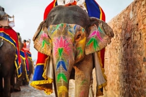 Super Jaipur Tour From Delhi in a Private Car- All Inclusive