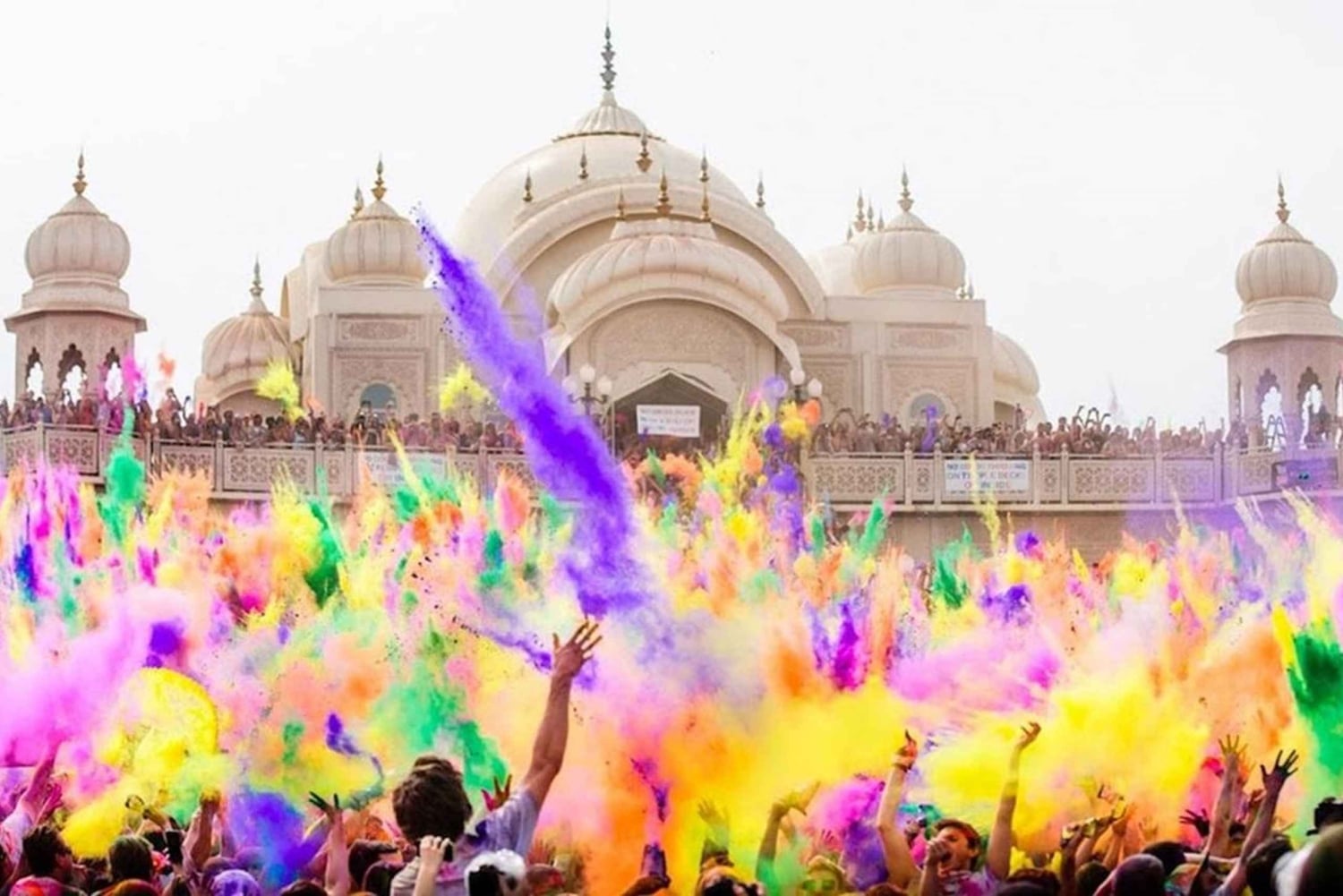 Taj, tigres et couleurs : Holi à Mathura et safari à Ranthambore.