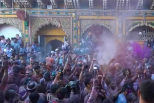 Taj, tigres et couleurs : Holi à Mathura et safari à Ranthambore.